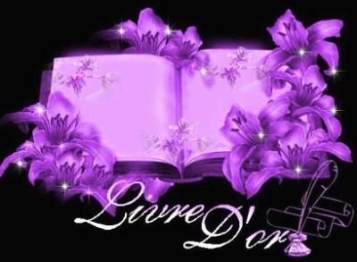 livre d`or